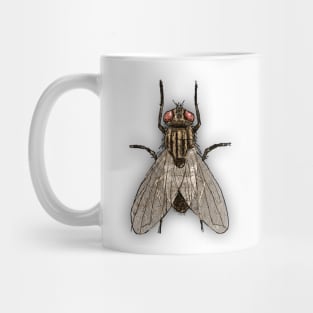 Bugs-16 Housefly Mug